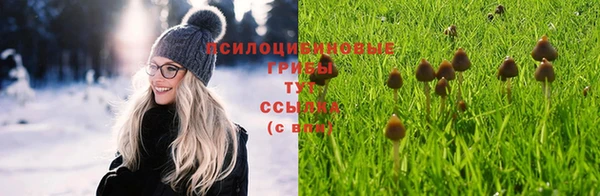 круглые Белокуриха